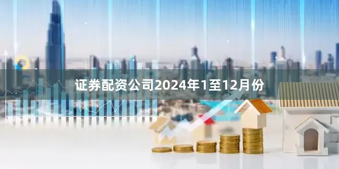 证券配资公司2024年1至12月份