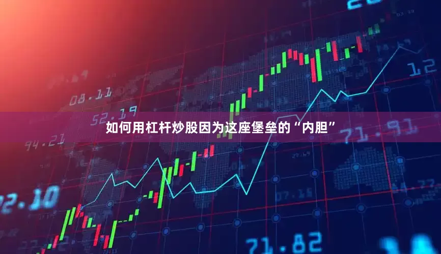 如何用杠杆炒股因为这座堡垒的“内胆”