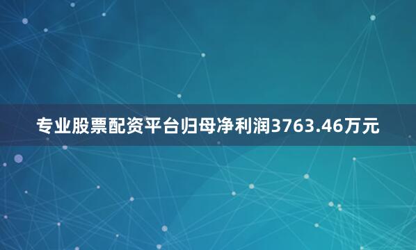 专业股票配资平台归母净利润3763.46万元